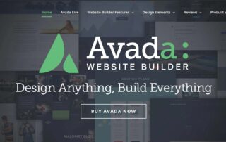 Avada Theme Developer