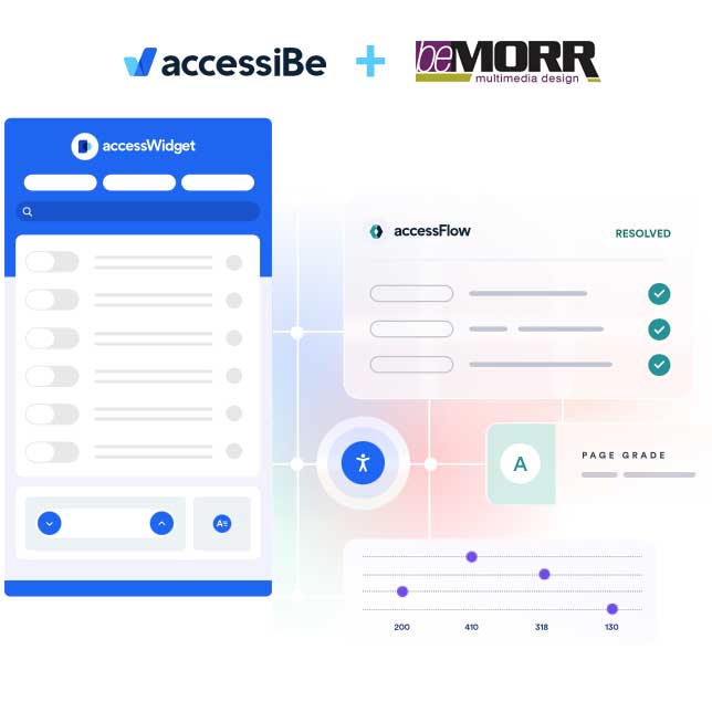 Accessibility Partner